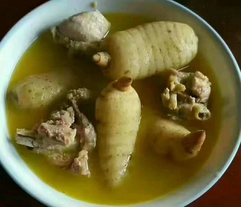 野生菌系列之黑虎掌…獐子菌