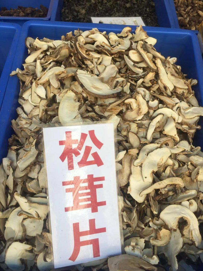 野生菌系列之黑虎掌…獐子菌