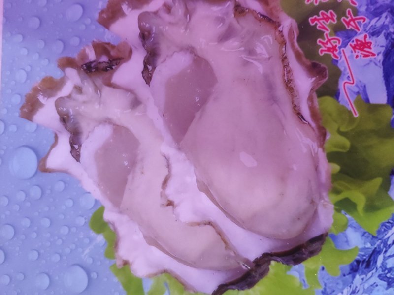 特大鲜活乳山生蚝，特价特价