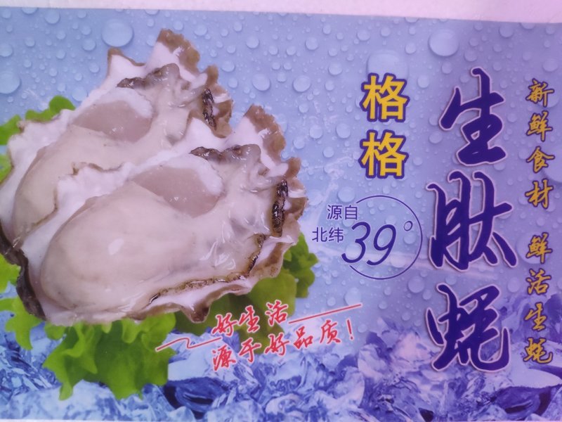 特大鲜活乳山生蚝，特价特价