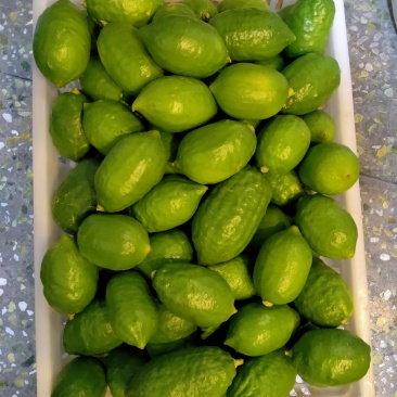 香水柠檬