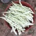 山东芸豆九粒白白不老质量很好