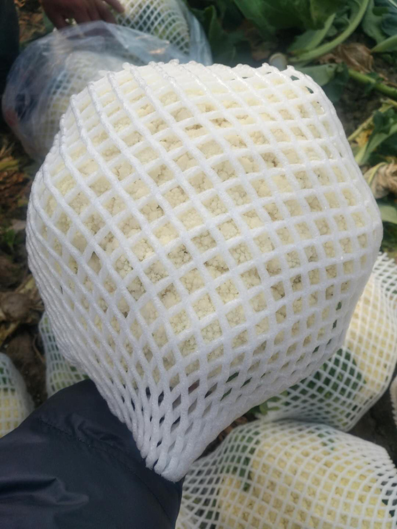 大量有机花