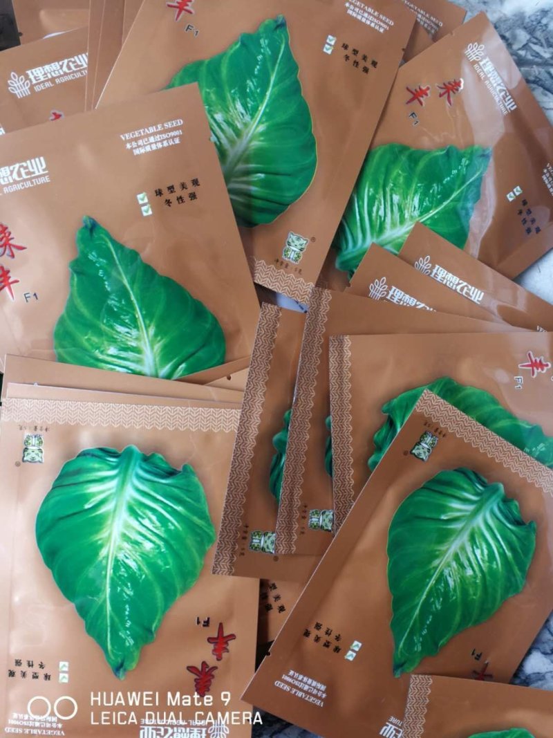 牛心包，早中熟品种，叶求桃行，耐寒性强，