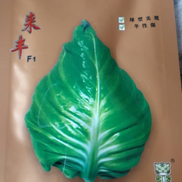 牛心包，早中熟品种，叶求桃行，耐寒性强，