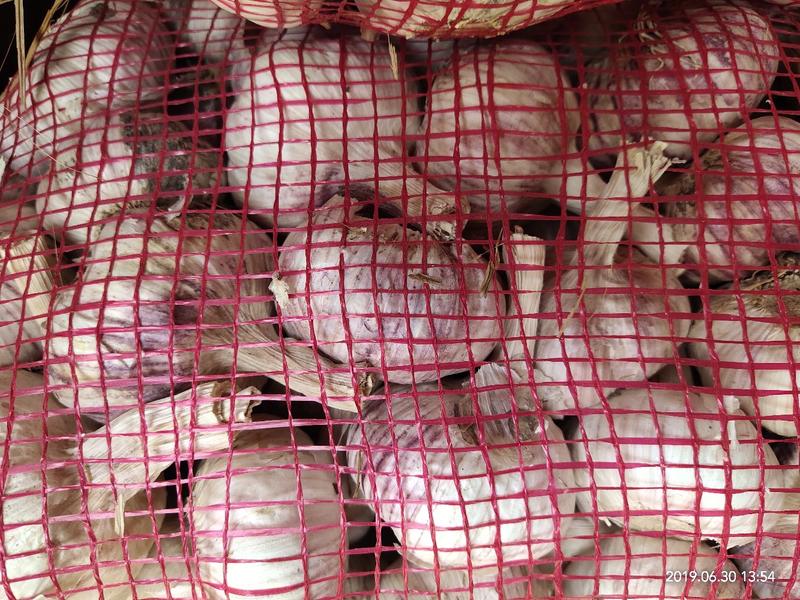 干蒜紫皮大蒜，大量有货，混级蒜，精品市场蒜蒜米料，印尼