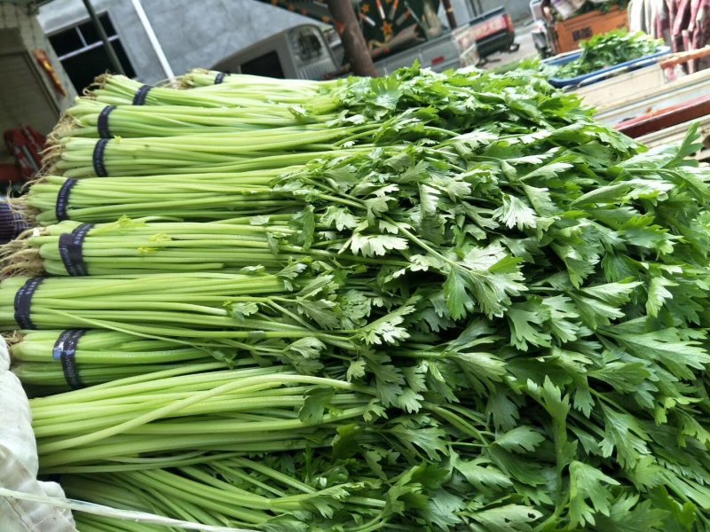 芹菜
