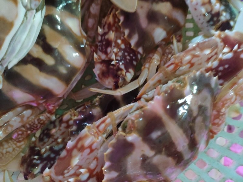 精品特大新鲜红花蟹，海南特产，特价
