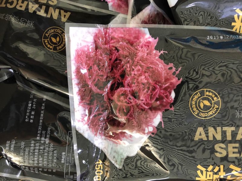 南极冰藻，盐渍南极冰海藻