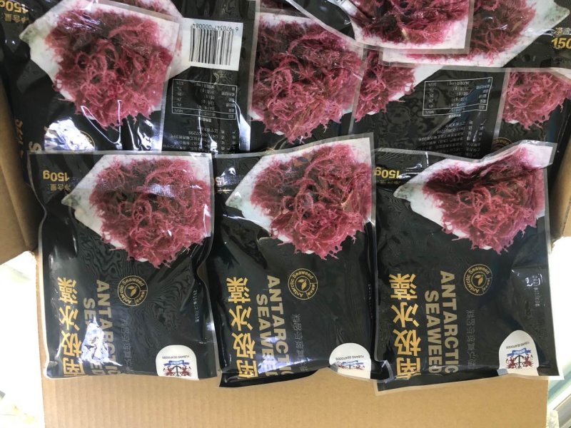 南极冰藻，盐渍南极冰海藻