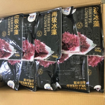 南极冰藻，盐渍南极冰海藻