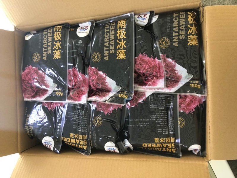 南极冰藻，盐渍南极冰海藻