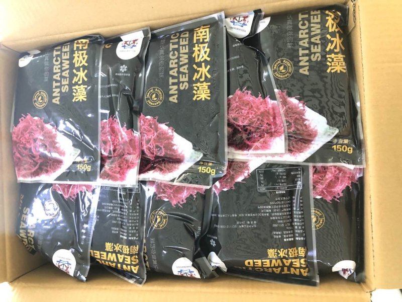 南极冰藻，盐渍南极冰海藻