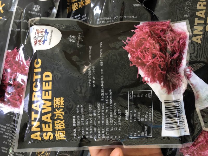 南极冰藻，盐渍南极冰海藻
