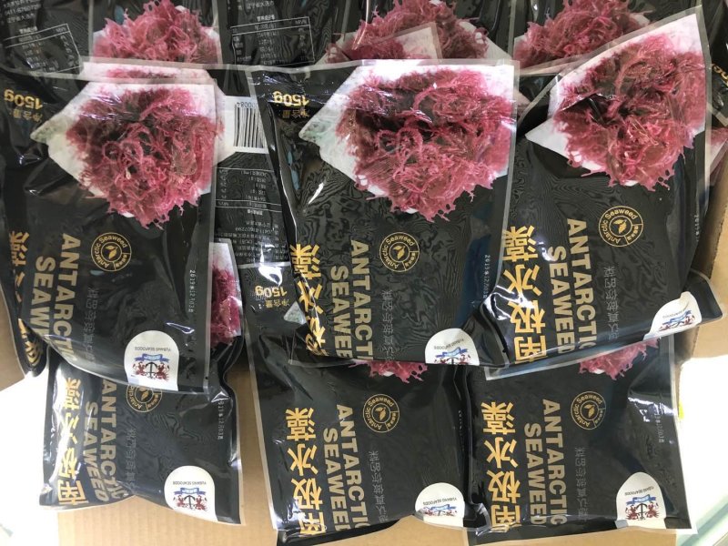 南极冰藻，盐渍南极冰海藻