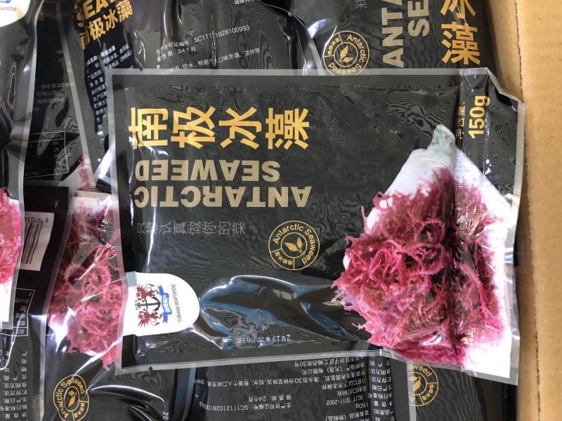 南极冰藻，盐渍南极冰海藻