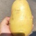 沃土希森各种品种