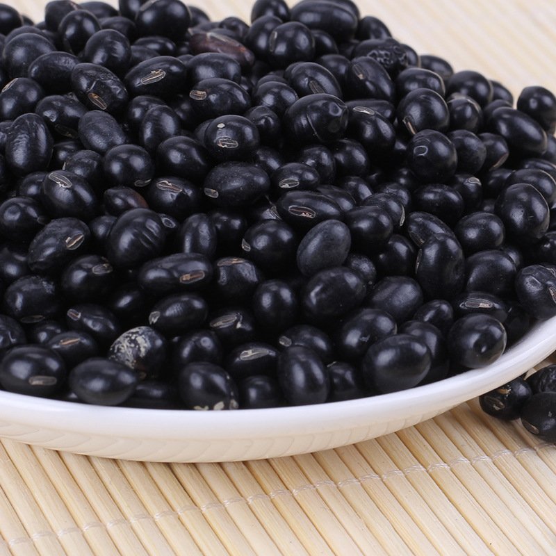 黑大豆黑豆笨黑豆颗粒饱满专营批发
