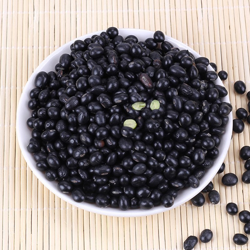 黑大豆黑豆笨黑豆颗粒饱满专营批发