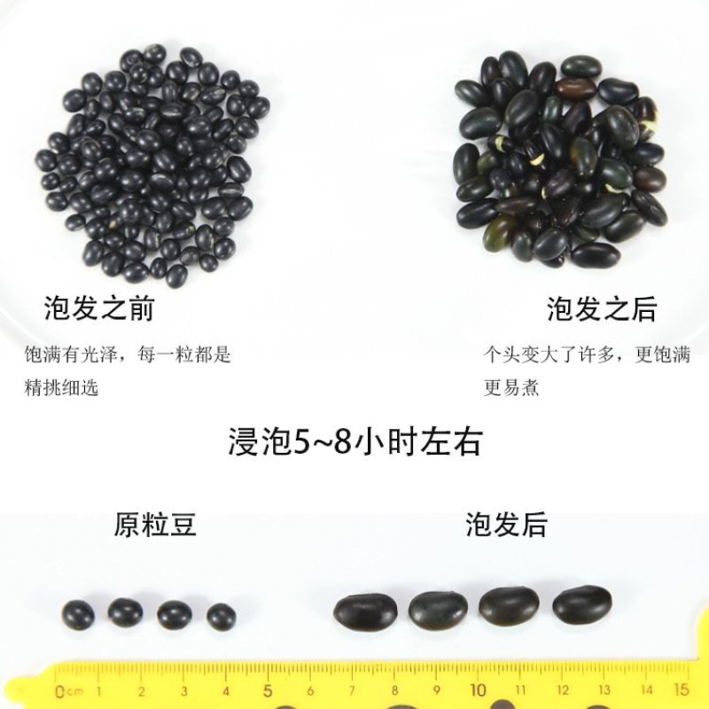 黑大豆黑豆笨黑豆颗粒饱满专营批发