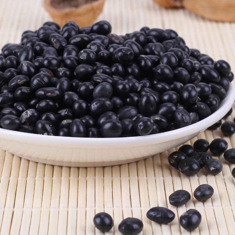 黑大豆黑豆笨黑豆颗粒饱满专营批发