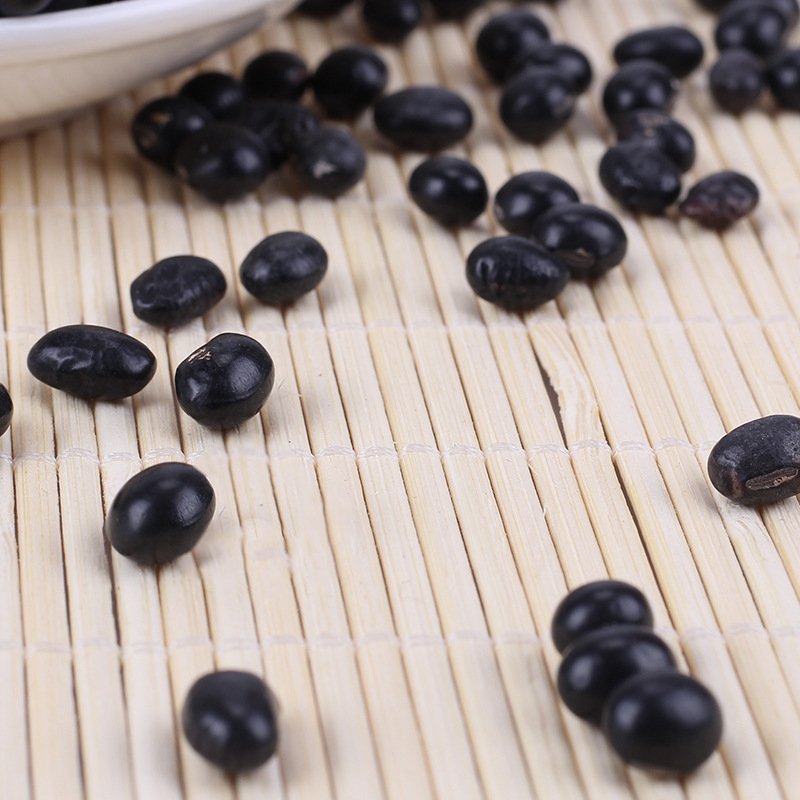 黑大豆黑豆笨黑豆颗粒饱满专营批发