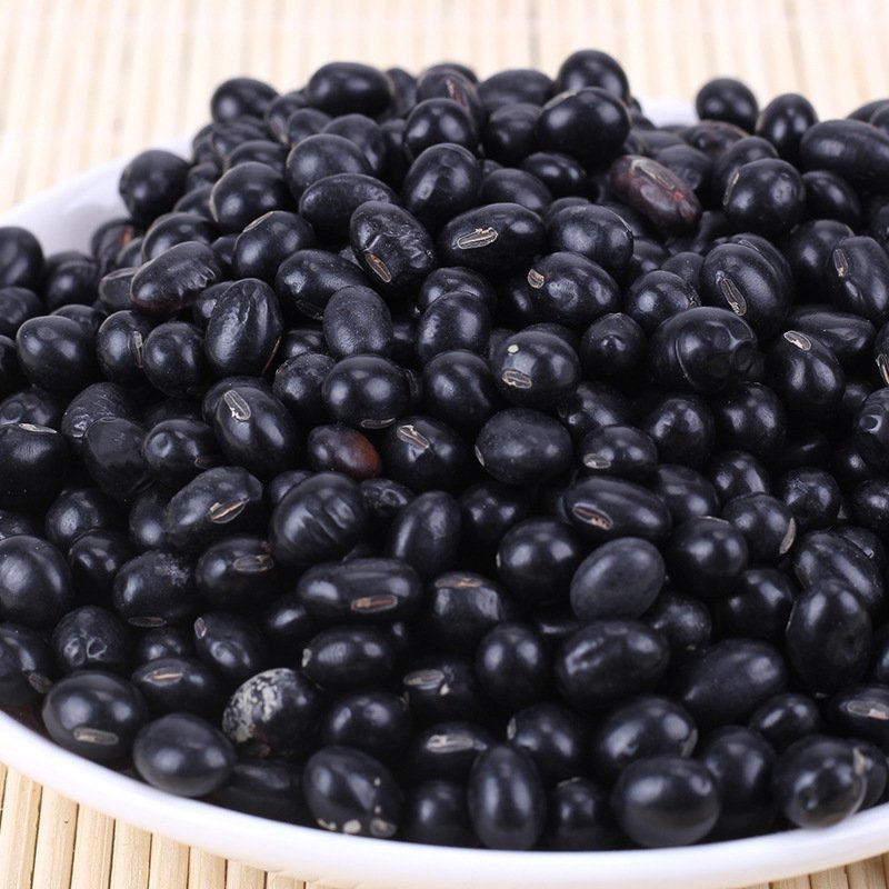 黑大豆黑豆笨黑豆颗粒饱满专营批发