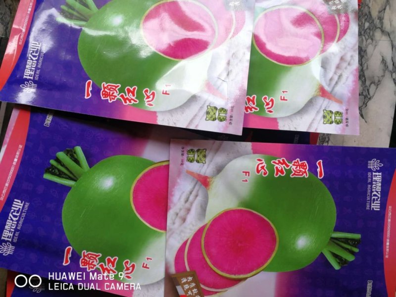 一颗红心萝卜，杂交品种，根肉鲜红色，
