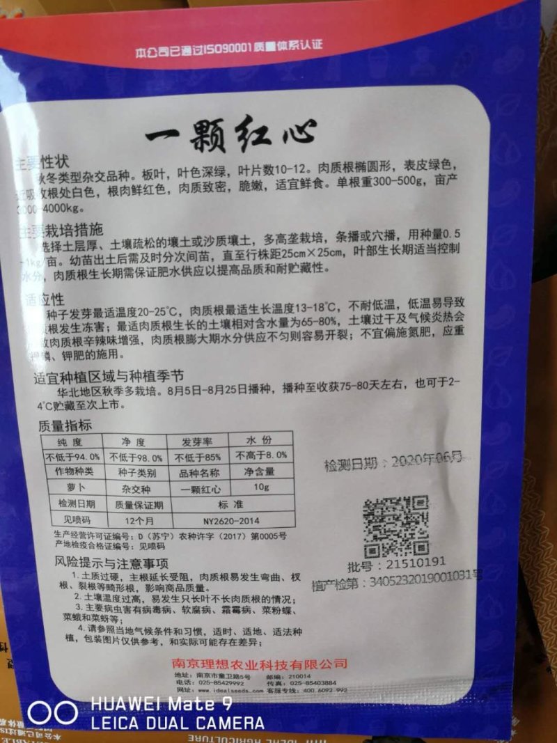 一颗红心萝卜，杂交品种，根肉鲜红色，