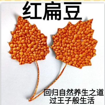 红小扁豆地方特色红小扁豆包邮5斤装