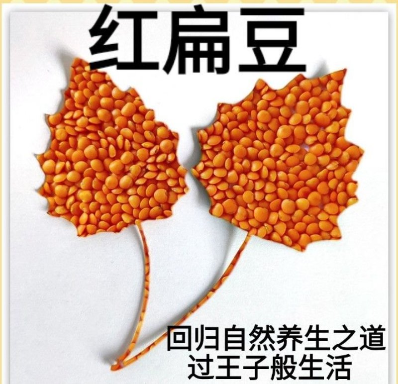 红小扁豆地方特色红小扁豆包邮5斤装
