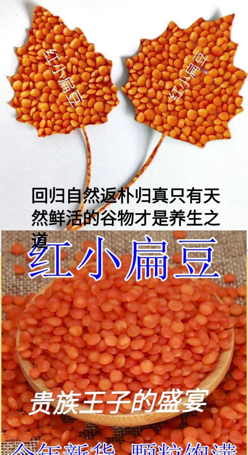 红小扁豆地方特色红小扁豆包邮5斤装