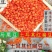 红小扁豆地方特色红小扁豆包邮5斤装