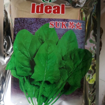 菠菜种子。一代杂交，特耐高温，耐抽苔