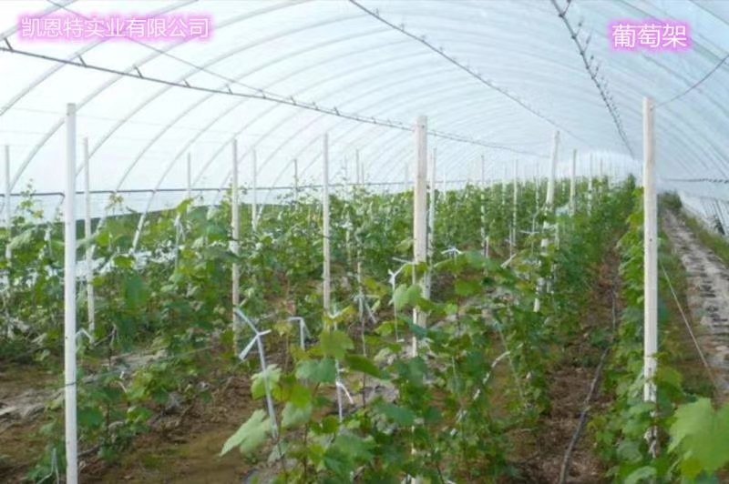 玻纤维杆6810拱棚支架小弓棚育苗保温防晒