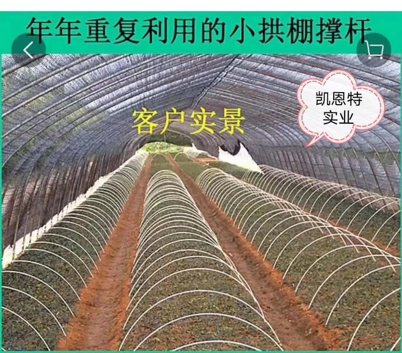 玻纤维杆6810拱棚支架小弓棚育苗保温防晒