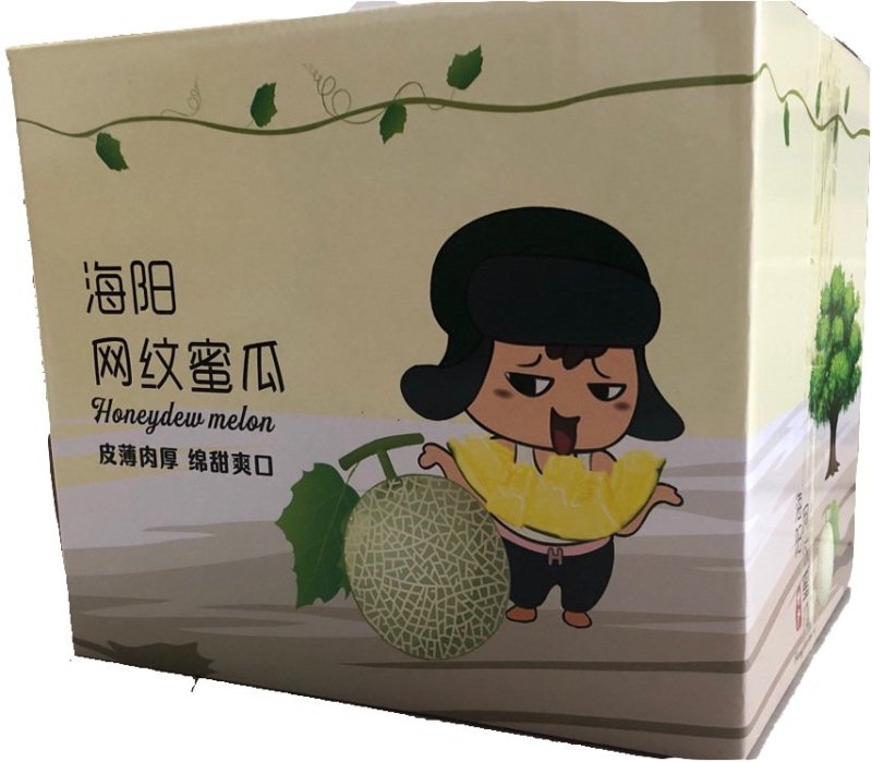 【包邮一件代发】日本引进品种海南玫珑蜜瓜进口冰淇淋之称