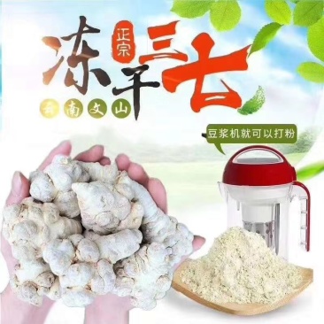 文山冻干三七田七粉云南产地批发直接嚼着吃的三七