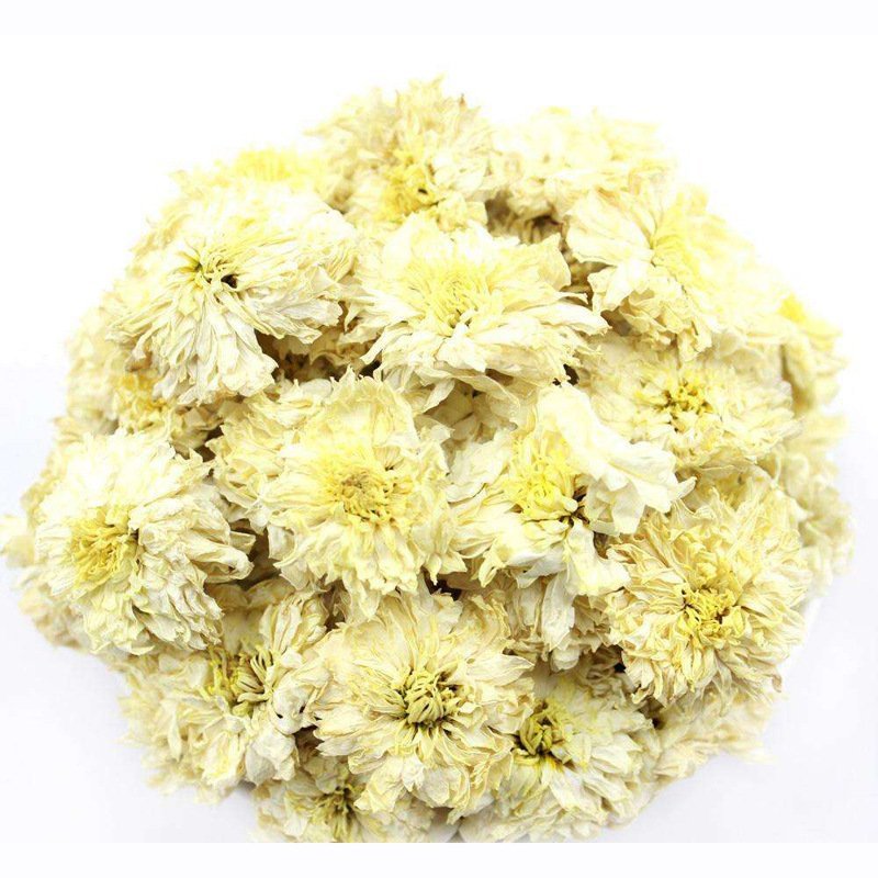 七月菊白菊各种规格可打粉专营批发一手货源