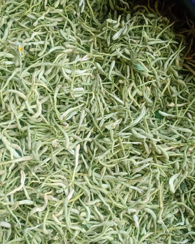 产地直销金银花，沂蒙山山区里的小草花，有叫本地笨金银花