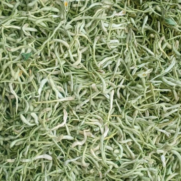产地直销金银花，沂蒙山山区里的小草花，有叫本地笨金银花