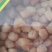 干贝瑶柱厂家直销欢迎选购煲汤煮粥味道鲜美500-600头