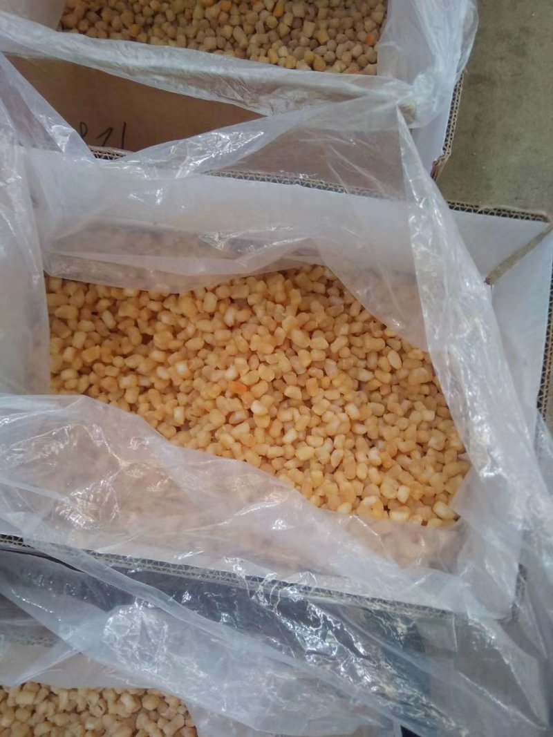 干贝瑶柱厂家直销欢迎选购煲汤煮粥味道鲜美500-600头