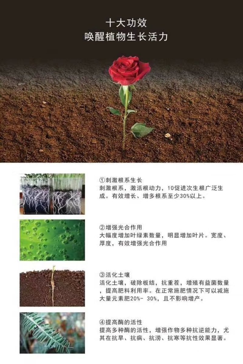 矿源黄腐酸钾黄腐酸钾黄腐酸保花保果，增甜着色，