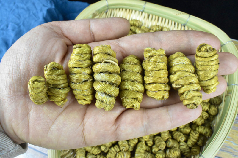 铁皮石斛大货批发1.2-1.4规格中大颗粒，胶质浓全化渣