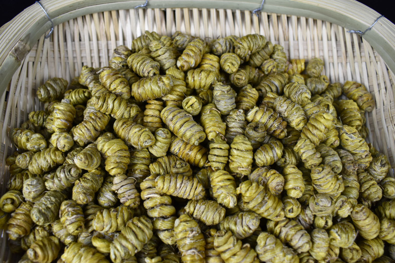 铁皮石斛大货批发1.2-1.4规格中大颗粒，胶质浓全化渣