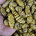 铁皮石斛大货批发1.2-1.4规格中大颗粒，胶质浓全化渣