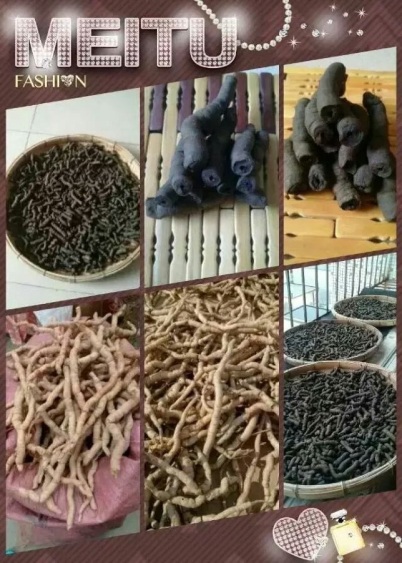 批发零售生熟巴戟天