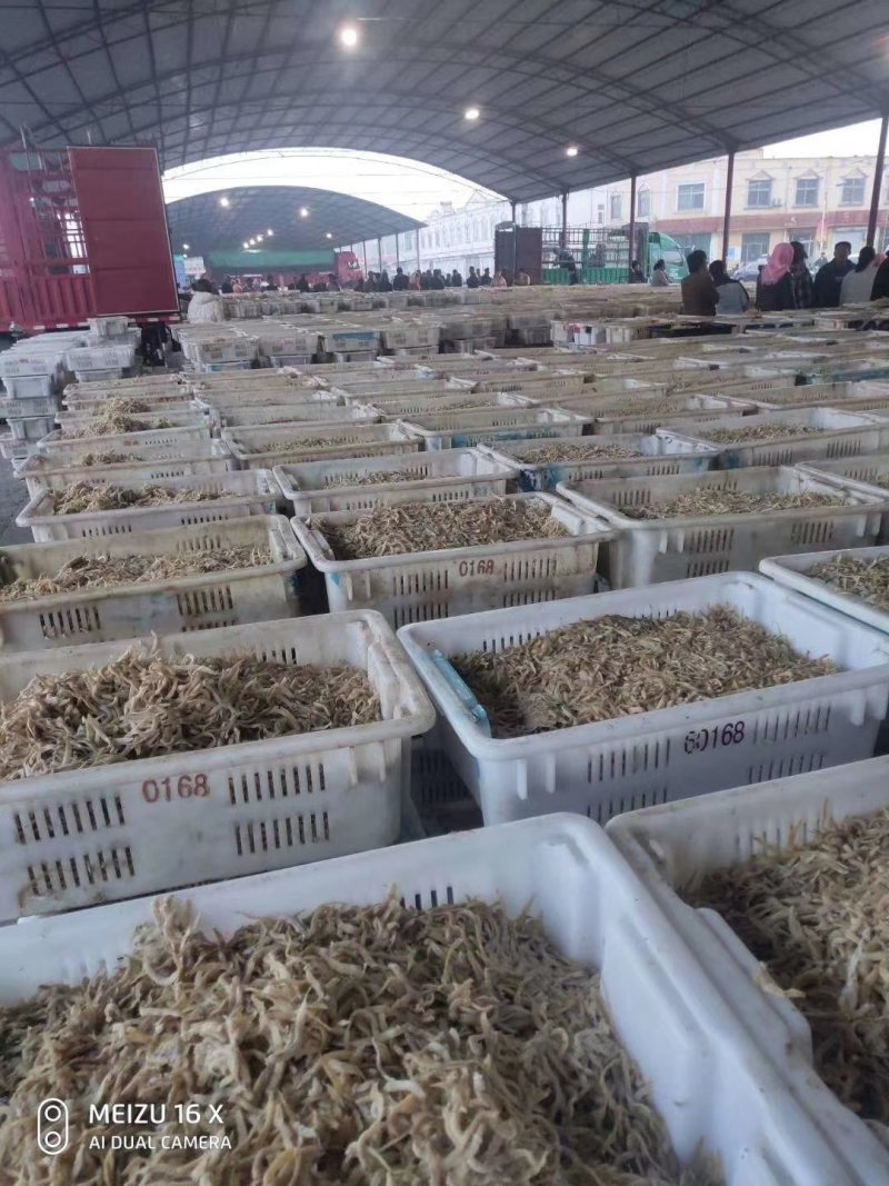 凤尾鱼，渤海湾优质特产，麻辣鱼最佳选择。