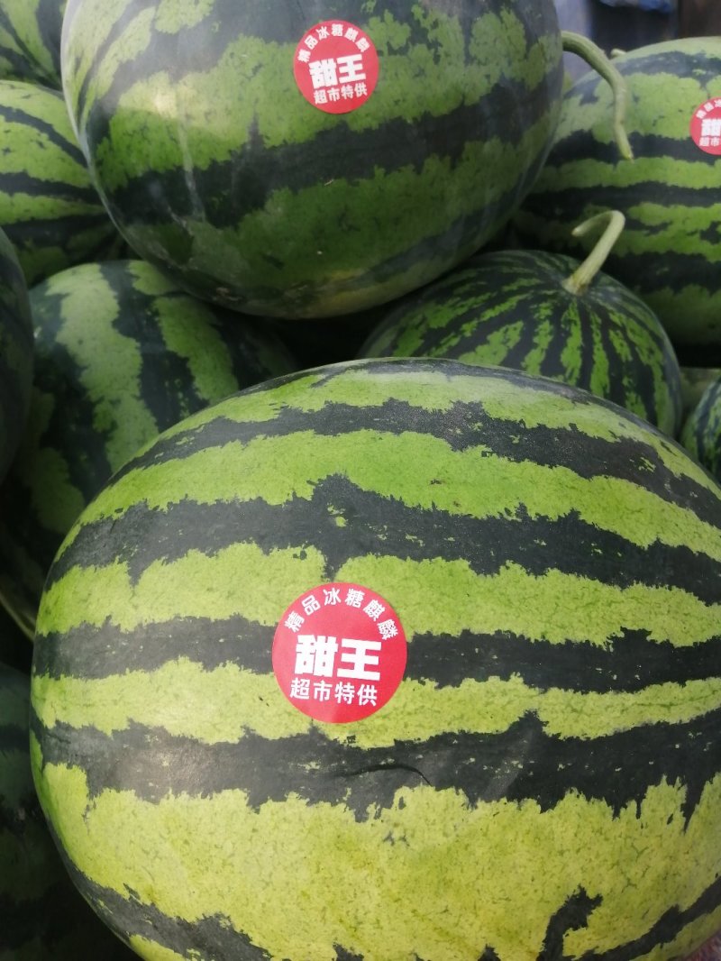 安徽砀山头茬大棚甜王大量上市，保熟保甜，产地直供